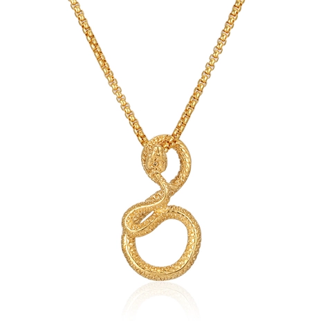 Vintage Ethnic Snake Pendant Necklace Titanium Steel Men Personalized Punk Animal Coiled Serpent Necklace Jewelry Gift