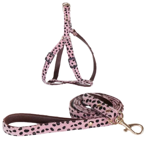 Luipaardprint Ponyhaar Huisdier Halsband Harnas En Lijn Voor Honden Katten Mode Verstelbaar Kunstleder Gouden Metalen Gesp