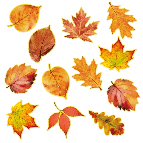 Autumn Maple Leaves Wall Stickers Cardstock Paper Leaf Cutouts For Thanksgiving Harvest Party Home Window Decor