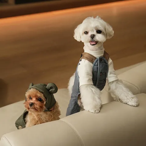 Quilted Dog Winter Jumpsuit Warm Padded Overalls Adjustable Straps D-Ring Small Puppy Maltese Teddy Apparel