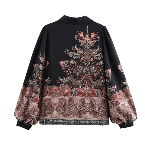 Dames Paisley Print Blouse Etnisch Retro Stijl Lange Mouwen Knoopsluiting Polyester Los Shirt