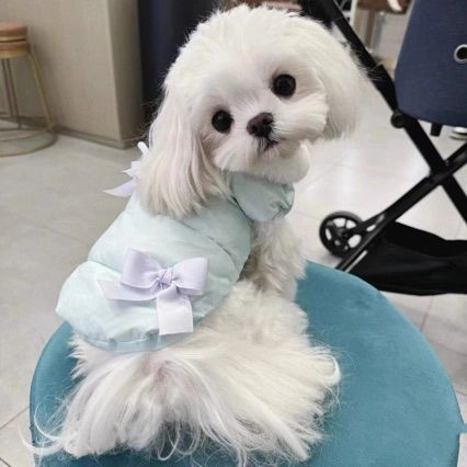 Veste Chaude D'hiver Pour Animaux De Compagnie Polyester Rembourré Petit Chien Chat Noeud Dentelle Col En Fausse Fourrure D-Ring