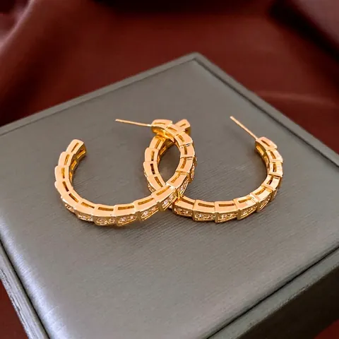 Segmentierte Geometrische Schlangenschuppen C-Creolen Für Damen Kupfer Zirkonia Mit Silver Earring Post
