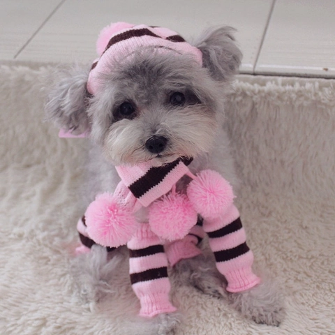 Haustier Strickmütze Schal Und Beinstulpen Warm Winter Herbst Hund Gestreift Outfit Zubehör Für Welpen Teddy Katzen