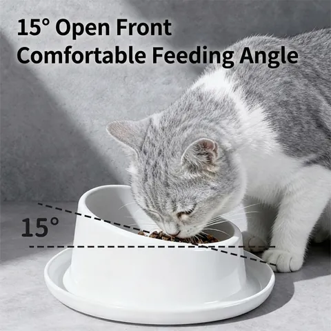 Ciotola In Ceramica Per Gatti Design Inclinato Protezione Del Collo Alimentatore Con Base Antiformiche Per Gatti E Cani Piccoli
