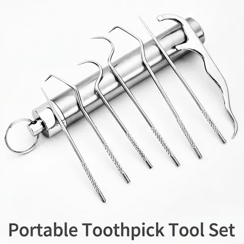 Portable Toothpick Dental Floss Kit 304 Stainless Steel Oral Cleaning Tools With Storage Holder Keychain Reusable