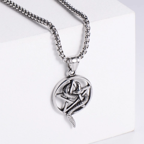 Collana Con Ciondolo Serpente Pentagramma Acciaio Inossidabile 304 Gotico Punk Fascino Rotondo Gioielli Per Uomo E Donna
