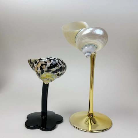 Handgemaakte Natuurlijke Schelp Conch Wijnglas Decoratief Ornament Met Glas Metalen Standaard Voor Bureau Home Decor Cadeau