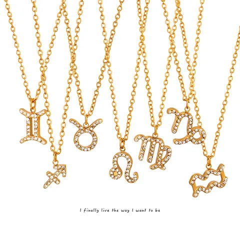 Dierenriem Sterrenbeeld Hanger Ketting Goud Titanium Staal Met Strass Sieraden Voor Dames