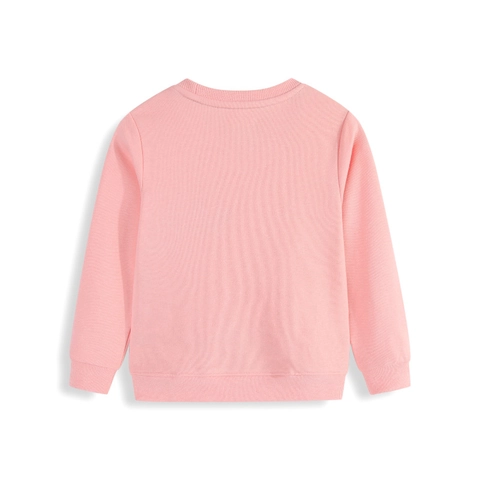 Sweat-shirt Garçon Enfant Coton Applique Dinosaure Dessin Animé Manches Longues Col Rond Pull Décontracté