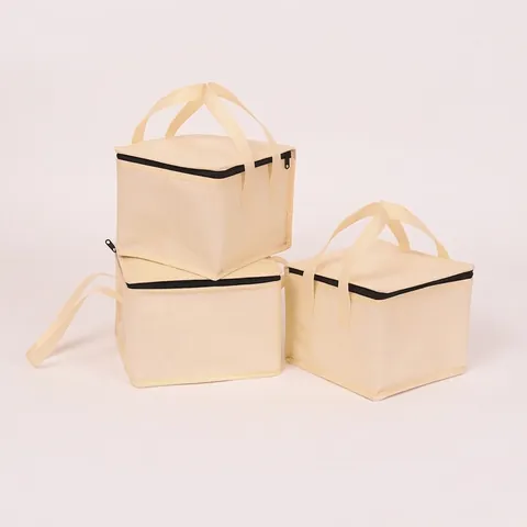 Borsa Termica Porta Torte Tessuto Non Tessuto Fodera In Alluminio Grande Capacità Cerniera Borsa Da Picnic