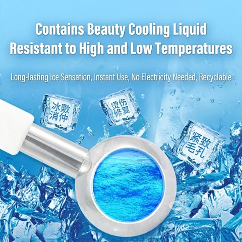 Stainless Steel Facial Ice Globe Massager 304 Metal Cooling Ball For Face Neck Depuffing Skin Care With Silicone Handle