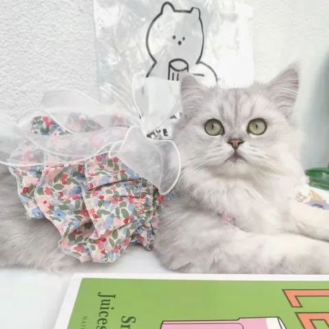 Robe Florale Pour Animaux De Compagnie Dentelle Maille Chat Chien Vêtements Sans Manches Noeud Princesse Été Fête Costume