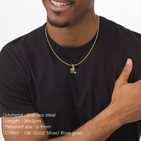Fashion 316L Stainless Steel Twelve Zodiac Pendant Necklace Box Chain For Women Men Hip Hop Constellation Jewelry Gift