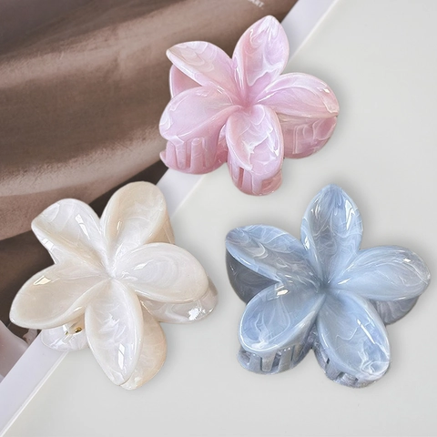 Plumeria Flower Hair Claw Clip Gradient Color Resin Acrylic Nonslip Ponytail Holder Beach Vacation Style For Women Girls