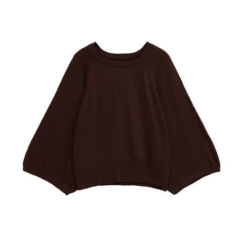 Dames Casual Ronde Hals Gebreide Trui Losse Effen Kleur Lange Mouw Top Polyester Herfst Mode Streetwear