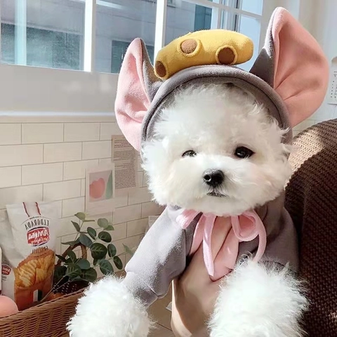 Cute Cartoon Pet Hoodie Dog Sweatshirt For Small Medium Dogs Cats Warm Fleece Puppy Cat Transformation Costume Clothes