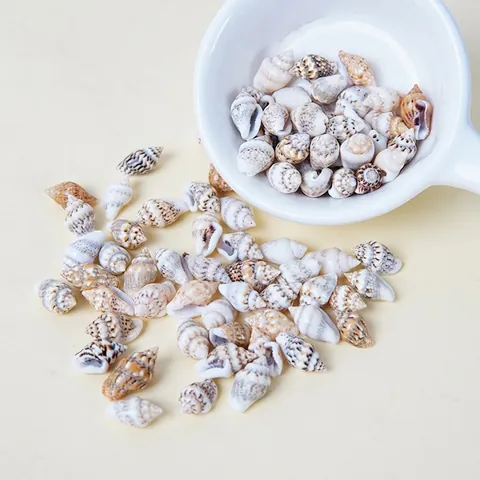Mini Natürliche Muschel Schnecke Mikro Landschaft Miniatur Essen Spiel Dekoration Für DIY Handwerk Aquarium