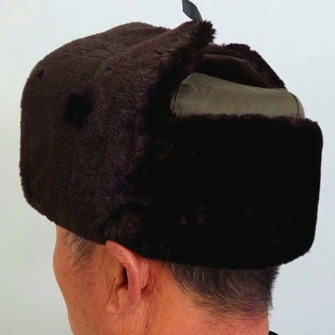 Gorro De Invierno Para Hombre Lei Feng Ushanka Piel Sintética Forro Polar Grueso Cálido Resistente Al Viento Aviador
