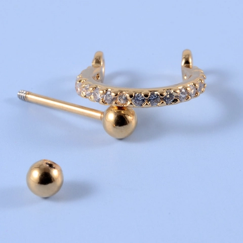 Roestvrijstalen Oorkraakbeen Stud Cubic Zirconia Piercing Sieraden Blad Geometrisch Helix Tragus Voor Dames Heren