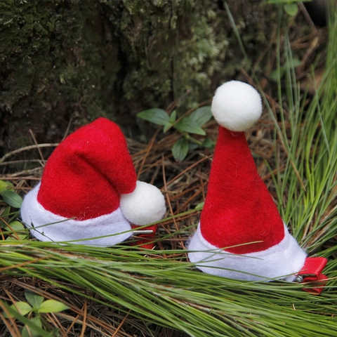 Mini Fermagli Per Capelli Cappello Di Babbo Natale Feltro Rosso Pompon Clip A Coccodrillo Decorazione Festa Di Natale Bambini Adulti