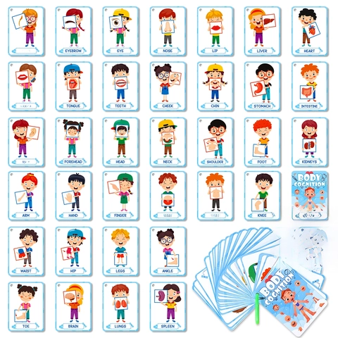 Carta Flashcard Cognizione Corporea Per Bambini Anatomia Umana Carte Apprendimento Educativo Per Sviluppo Precoce Montessori Giocattolo