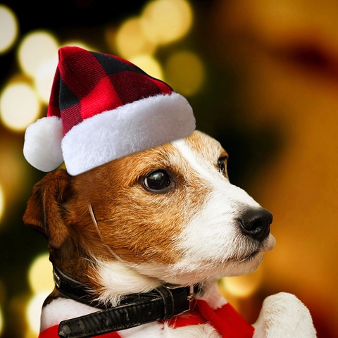 Kerstmuts Voor Huisdieren Geruite Polyester Stof Met Pluche Rand En Pompon Voor Katten Kleine Honden Feestkostuum