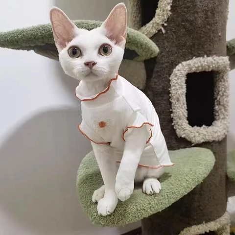 Pet Cat Dog Shirt Breathable Rib Knit Lace Bow Orange Scalloped Edge Ruffle Trim Summer Thin Apparel