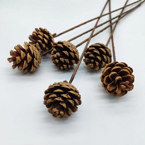 Natuurlijke Dennenappel Katoen Gedroogde Bloemstelen Rustieke Kerstversiering DIY Bloemstuk Fotografie Props