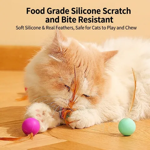 Interactieve Kattenbal Met Natuurlijke Veer Siliconen Elastisch Stuiterend Kitten Spel Jacht Beetbestendig Stil Binnenshuis