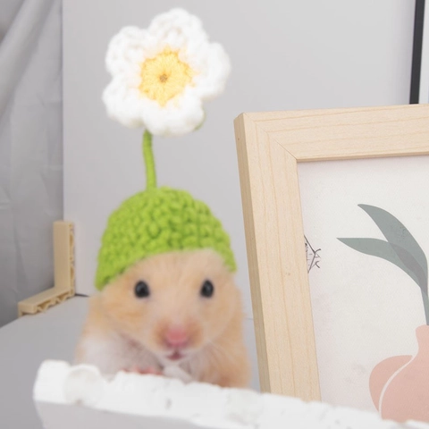 Mini Pet Hat Hand Knitted Crochet Cartoon Animal Shape Headwear For Hamster Parrot Guinea Pig Small Animals Photo Props