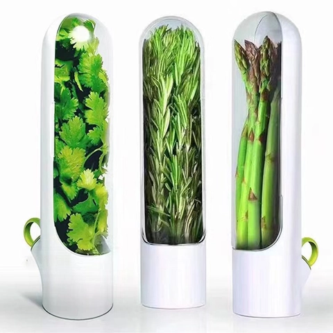 Contenitore Per La Conservazione Delle Erbe Fresche Custodia Per Verdure Trasparente Salva Erbe Per Prezzemolo E Coriandolo