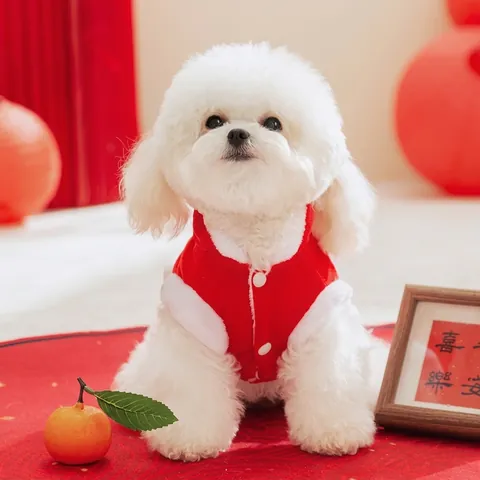 Pet Chinese New Year Clothing Winter Warm Flannel Embroidery Red Tang Suit Costume For Dogs Cats
