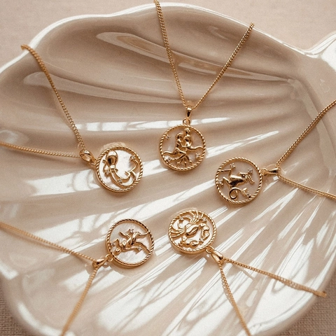 Collana con Pendente a Moneta 12 Segni Zodiacali in Acciaio Inossidabile Intarsio in Madreperla Artificiale Oro Strass