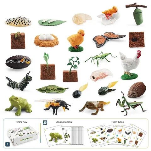 Life Cycle Simulation Models Plastic Animal Plant Growth Educational Learning Cards Montessori Toy Kids Toddler