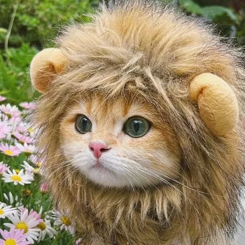 Pet Lion Mane Wig Costume For Cats And Small Dogs Funny Adjustable Faux Fur Hat With Ears For Halloween Christmas Party Cosplay