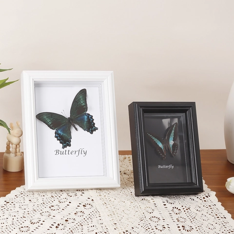 Butterfly Specimen Photo Frame Wood MDF Glass Hollow Shadow Box Desktop Wall Hanging Decor Retro European Style Home Office