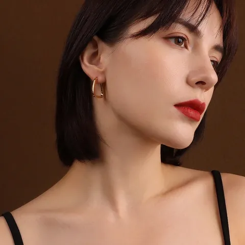 Franse Vintage Overdreven U-Vormige Geometrische Creolen Voor Dames Titaniumstaal 18K Vergulde Minimalistische Oorbellen