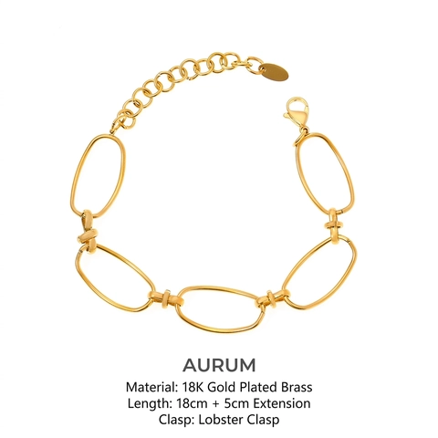 Minimalistische Geometrische Ovalen Schakelketting Armband Titanium Roestvrij Staal Verguld Verstelbare Sieraden