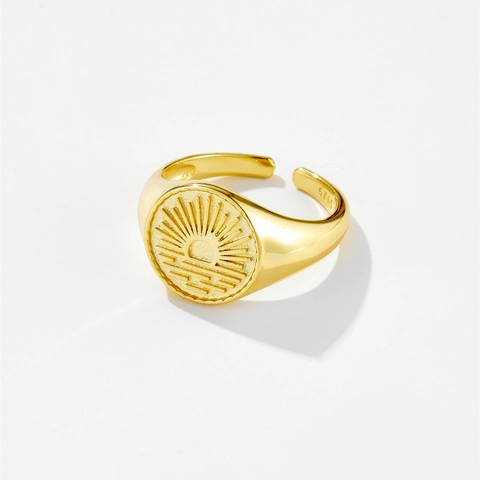 Vintage Koperen Vergulde Open Verstelbare Ring Voor Heren Dames Zon Kolibrie Patroon Gegraveerde Zegelring Minimalistische Sieraden
