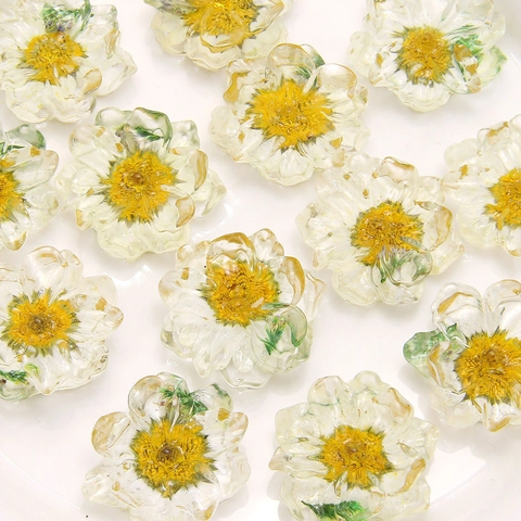 Dijes De Flores Resina Transparentes Margarita Real Seca Para Hacer Joyas DIY Pendientes Clips Pelo Decoración De Funda