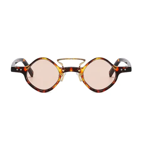 Retro Punk Sunglasses Small Irregular Geometric Frame PC Protection Hip Hop Motorcycle Fashion Eyewear Men Women