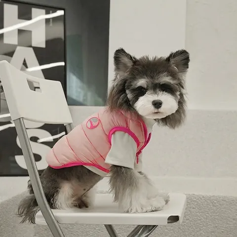 Pet Dog Cat Reversible Padded Vest Quilted Winter Warm Jacket Double Sided Wearable Candy Color Stripes Windproof For Small Animals