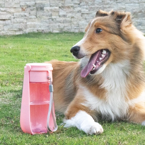 Bottiglia Acqua Portatile Per Animali Domestici Cani Gatti Pieghevole Pulsante Anti Perdite Plastica ABS Ciotola Viaggio Cordino