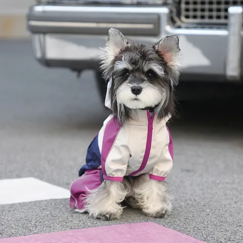 Dog Raincoat Waterproof Windproof Polyester Hooded Color Blocking Reflective Outdoor Pet Jacket For Small Medium Dogs