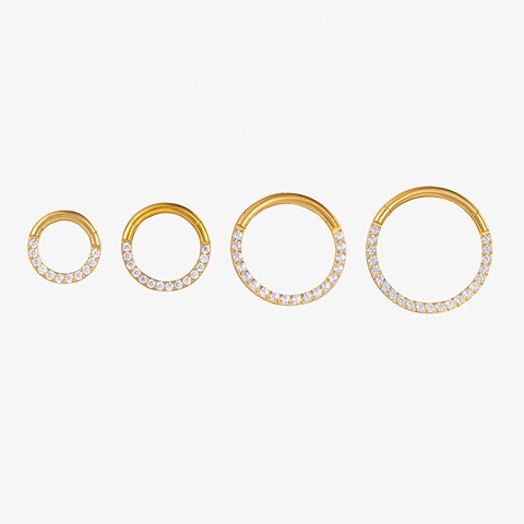 Titan Zirkon Scharnier Segment Ring Nasenring Knorpel Ohrring Körper Piercing Clicker Schmuck Für Frauen Mode