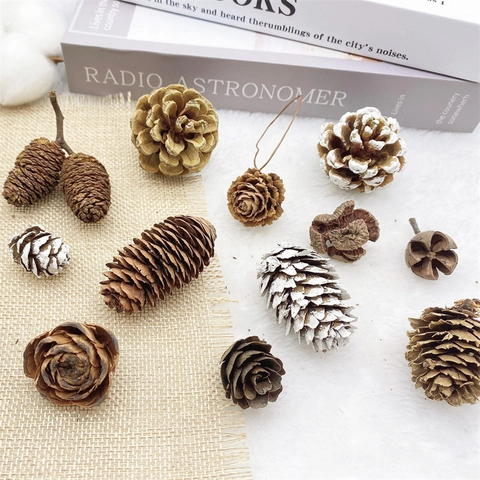 Pommes De Pin Naturelles Décorations Arbre De Noël Bois Plante Séchée Enneigée Fête Maison Décor DIY Accessoires Photographie