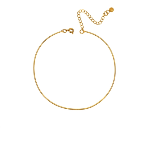 Minimalist Snake Bone Chain Anklet Titanium Steel Gold Plated Adjustable Foot Jewelry Fashion Accessory For Women