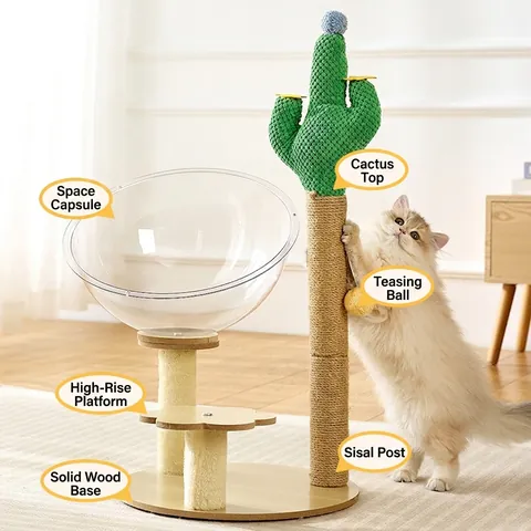 Cactus Cat Tree Climbing Frame With Transparent Space Capsule Sisal Scratcher Post Turntable Interactive Toy For Kittens Indoor