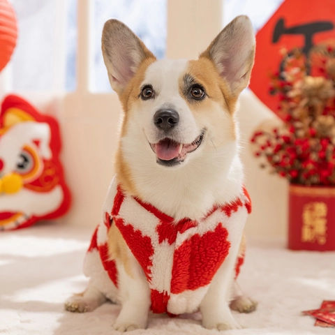 Dog Fleece Vest Lamb Wool Warm Checkerboard Cartoon Embroidery Snap Button Festive Apparel For Small Medium Dogs